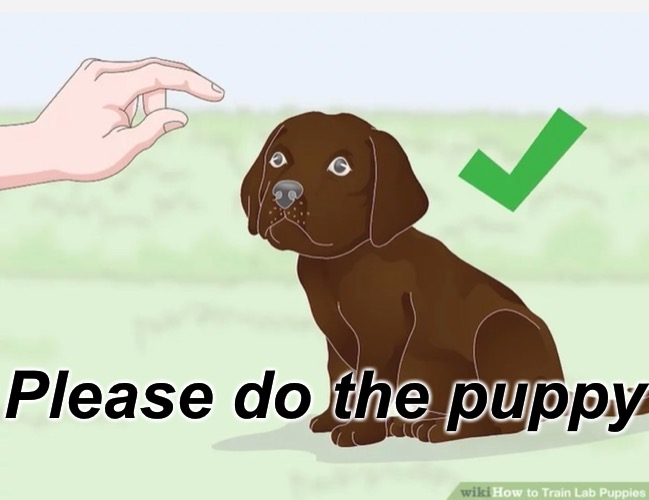 Please do the puppy Blank Meme Template