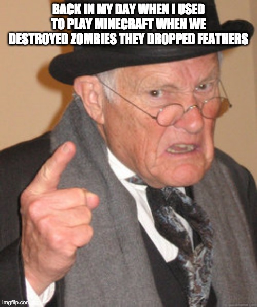 Back In My Day Meme | BACK IN MY DAY WHEN I USED TO PLAY MINECRAFT WHEN WE DESTROYED ZOMBIES THEY DROPPED FEATHERS | image tagged in memes,back in my day | made w/ Imgflip meme maker
