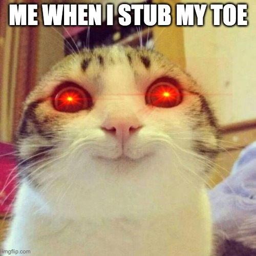 Smiling Cat | ME WHEN I STUB MY TOE | image tagged in memes,smiling cat | made w/ Imgflip meme maker