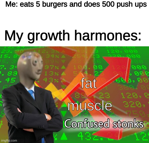 I did not do any of those things | Me: eats 5 burgers and does 500 push ups; My growth harmones:; fat; muscle | image tagged in blank white template,confused stonks,memes,funny,not really a gif | made w/ Imgflip meme maker