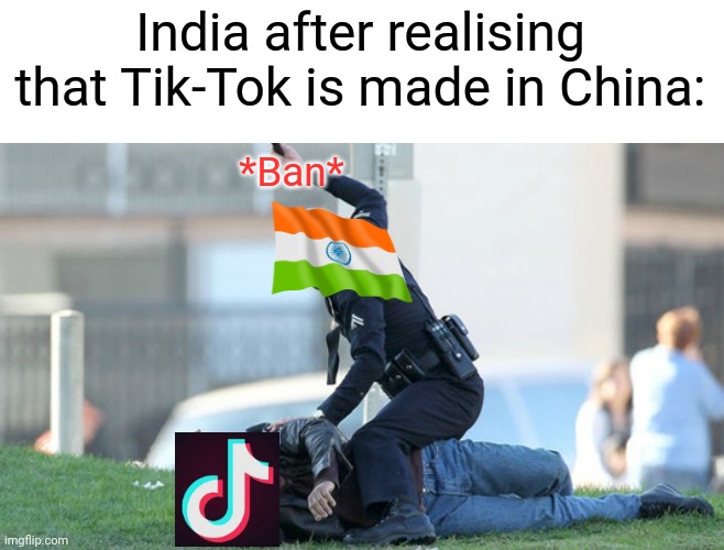 USA: i wanna join | India after realising that Tik-Tok is made in China:; *Ban* | image tagged in cop beating | made w/ Imgflip meme maker