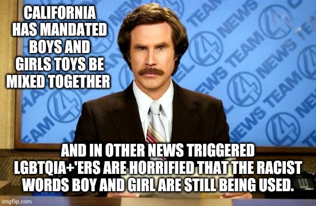 Sexist egotistical lying hypocritical bigots. | CALIFORNIA HAS MANDATED BOYS AND GIRLS TOYS BE MIXED TOGETHER; AND IN OTHER NEWS TRIGGERED LGBTQIA+'ERS ARE HORRIFIED THAT THE RACIST WORDS BOY AND GIRL ARE STILL BEING USED. | image tagged in breaking news,sexism,california,toys,children,lgbtq | made w/ Imgflip meme maker