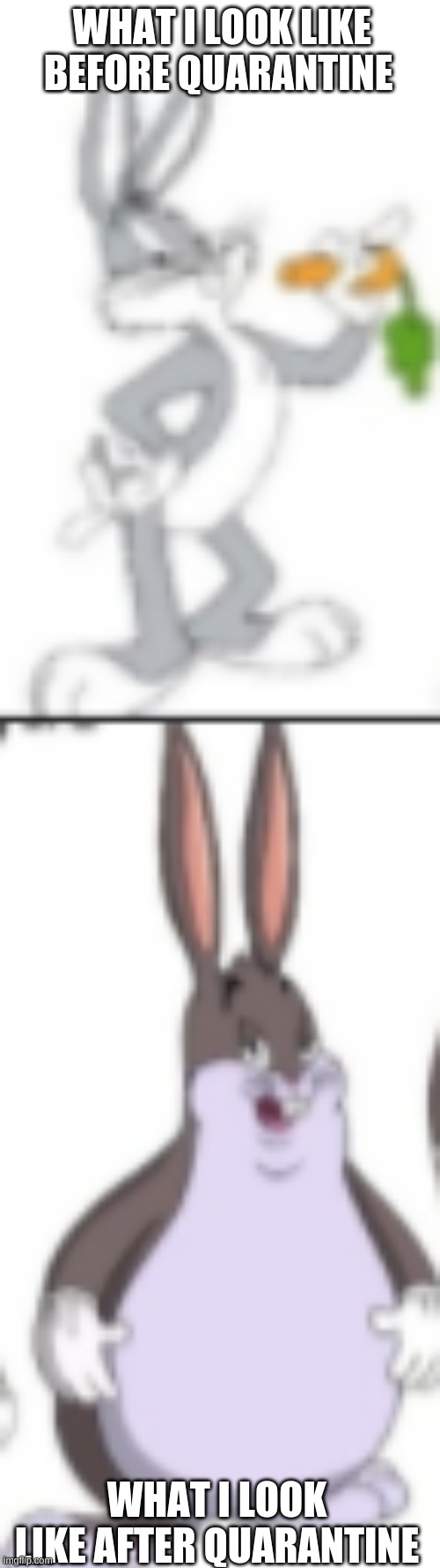 I am out of ideas | WHAT I LOOK LIKE BEFORE QUARANTINE; WHAT I LOOK LIKE AFTER QUARANTINE | image tagged in big chungus | made w/ Imgflip meme maker