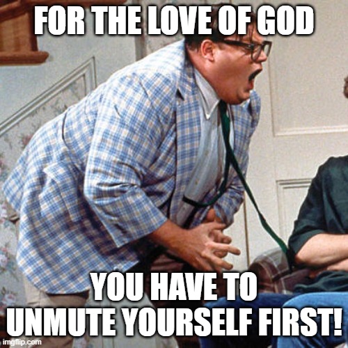 Unmute yourself | FOR THE LOVE OF GOD; YOU HAVE TO UNMUTE YOURSELF FIRST! | image tagged in chris farley for the love of god | made w/ Imgflip meme maker
