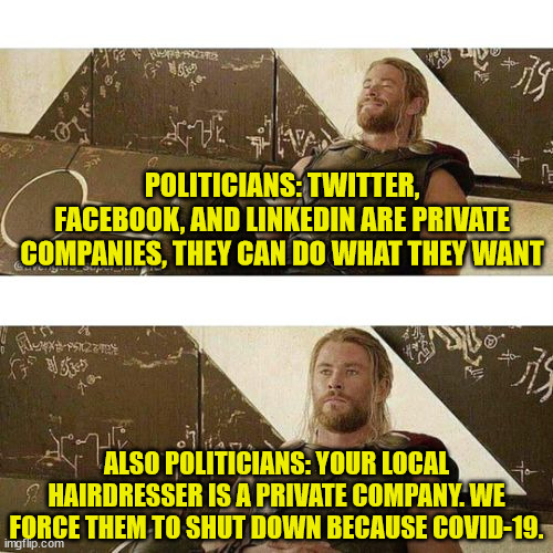 If it weren't for double standards, would politicians have any standards? | POLITICIANS: TWITTER, FACEBOOK, AND LINKEDIN ARE PRIVATE COMPANIES, THEY CAN DO WHAT THEY WANT; ALSO POLITICIANS: YOUR LOCAL HAIRDRESSER IS A PRIVATE COMPANY. WE FORCE THEM TO SHUT DOWN BECAUSE COVID-19. | image tagged in thor two faces,double standards,politics,censorship | made w/ Imgflip meme maker