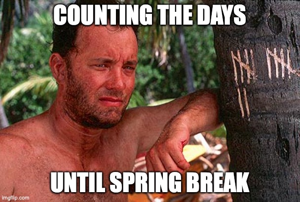 Spring Break | COUNTING THE DAYS; UNTIL SPRING BREAK | image tagged in tom hanks castaway tree | made w/ Imgflip meme maker