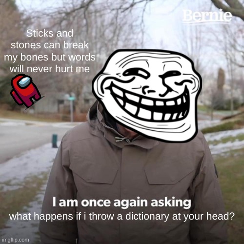 What if... | Sticks and stones can break my bones but words will never hurt me; what happens if i throw a dictionary at your head? | image tagged in memes,bernie i am once again asking for your support | made w/ Imgflip meme maker