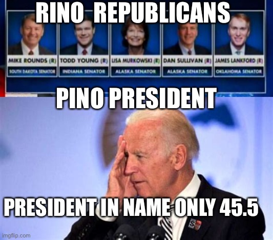 President in name only | RINO  REPUBLICANS; PINO PRESIDENT; PRESIDENT IN NAME ONLY 45.5 | image tagged in confused biden,incompetence,loser,democrats | made w/ Imgflip meme maker