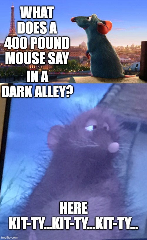 ratatouille mouse | WHAT DOES A 400 POUND MOUSE SAY; IN A DARK ALLEY? HERE KIT-TY...KIT-TY...KIT-TY... | image tagged in ratatouille | made w/ Imgflip meme maker