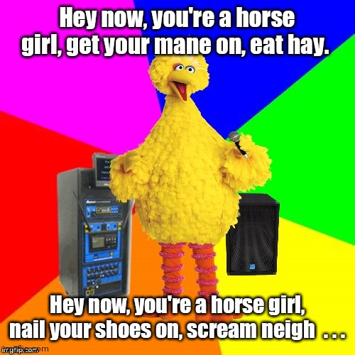 What a great voice. | Hey now, you're a horse girl, get your mane on, eat hay. Hey now, you're a horse girl, nail your shoes on, scream neigh  . . . | image tagged in wrong lyrics karaoke big bird,funny | made w/ Imgflip meme maker