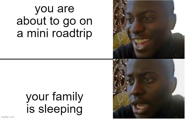 I'm going on a mini roadtrip and of course my brother and dad are sleeping | you are about to go on a mini roadtrip; your family is sleeping | image tagged in disappointed black guy | made w/ Imgflip meme maker