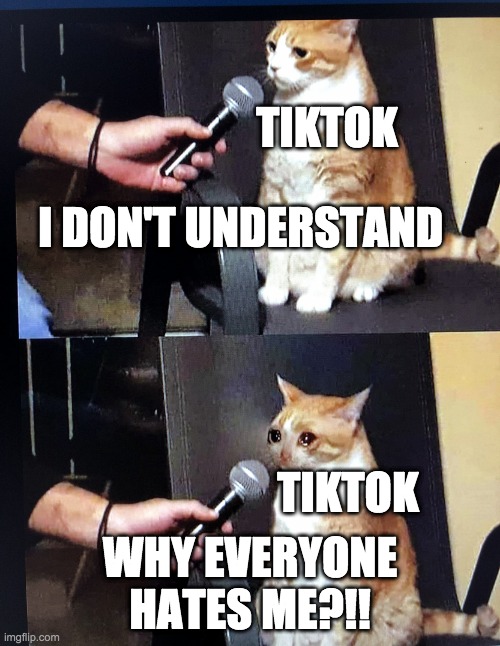 Cat interview crying | TIKTOK; I DON'T UNDERSTAND; TIKTOK; WHY EVERYONE HATES ME?!! | image tagged in cat interview crying | made w/ Imgflip meme maker