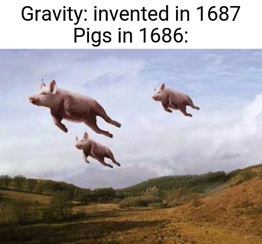 I'll give back ur eggs when pigs fly | Gravity: invented in 1687
Pigs in 1686: | image tagged in pigs fly | made w/ Imgflip meme maker
