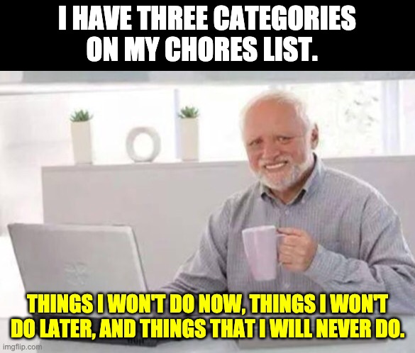 To Do | I HAVE THREE CATEGORIES ON MY CHORES LIST. THINGS I WON'T DO NOW, THINGS I WON'T DO LATER, AND THINGS THAT I WILL NEVER DO. | image tagged in harold | made w/ Imgflip meme maker