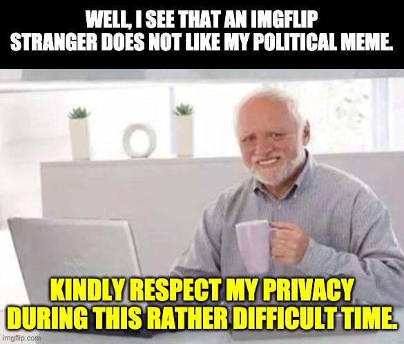 It will take me a bit of time to recover from the trauma | WELL, I SEE THAT AN IMGFLIP STRANGER DOES NOT LIKE MY POLITICAL MEME. KINDLY RESPECT MY PRIVACY DURING THIS RATHER DIFFICULT TIME. | image tagged in harold | made w/ Imgflip meme maker