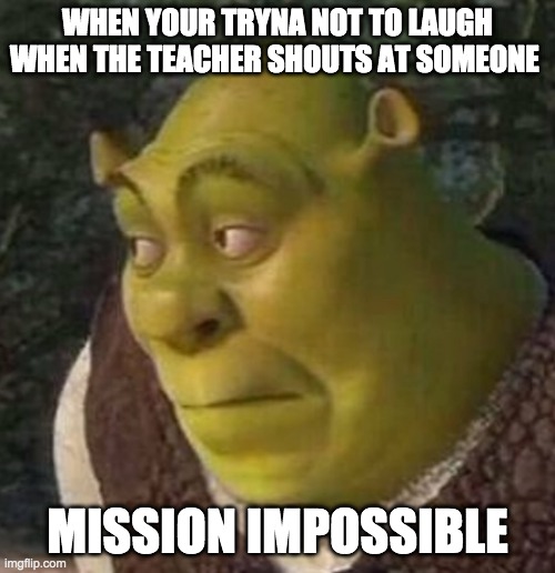 Shrek | WHEN YOUR TRYNA NOT TO LAUGH WHEN THE TEACHER SHOUTS AT SOMEONE; MISSION IMPOSSIBLE | image tagged in shrek | made w/ Imgflip meme maker