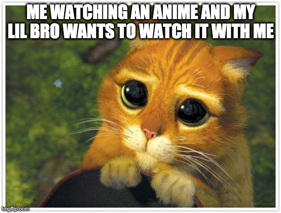 Shrek Cat Meme | ME WATCHING AN ANIME AND MY LIL BRO WANTS TO WATCH IT WITH ME | image tagged in memes,shrek cat | made w/ Imgflip meme maker