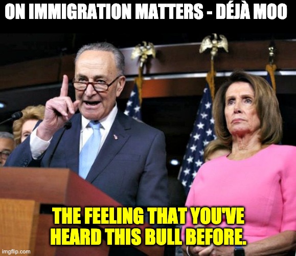 Same old bull | ON IMMIGRATION MATTERS - DÉJÀ MOO; THE FEELING THAT YOU'VE HEARD THIS BULL BEFORE. | image tagged in schumer and pelosi | made w/ Imgflip meme maker