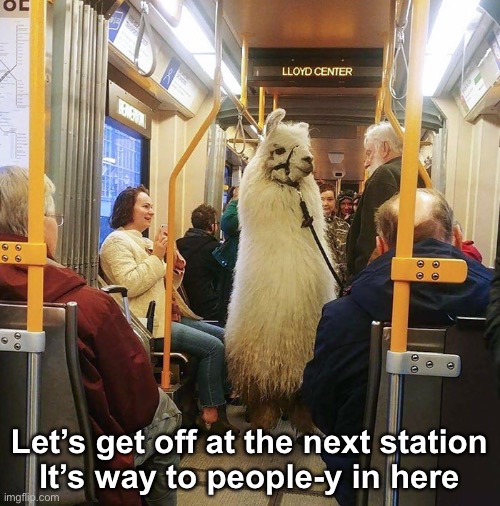 We Can Just Walk the Rest of the Way | Let’s get off at the next station
It’s way to people-y in here | image tagged in funny memes | made w/ Imgflip meme maker