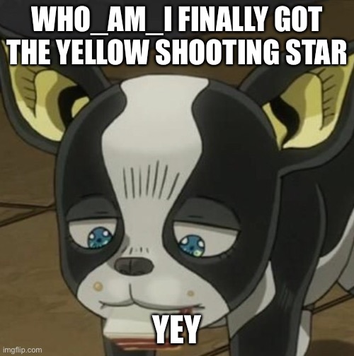 Samich | WHO_AM_I FINALLY GOT THE YELLOW SHOOTING STAR; YEY | image tagged in samich | made w/ Imgflip meme maker