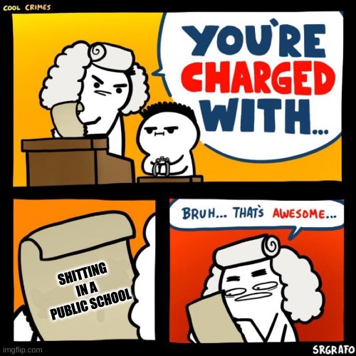 You're charged with being awesome |  SHITTING IN A PUBLIC SCHOOL | image tagged in you're charged with being awesome | made w/ Imgflip meme maker