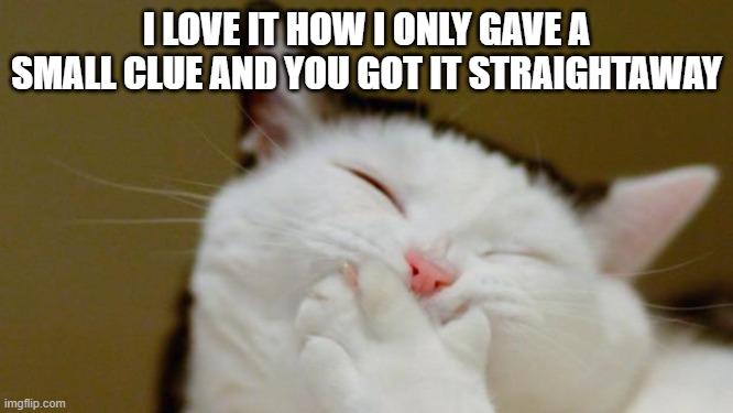 Laughing Cat | I LOVE IT HOW I ONLY GAVE A SMALL CLUE AND YOU GOT IT STRAIGHTAWAY | image tagged in laughing cat | made w/ Imgflip meme maker