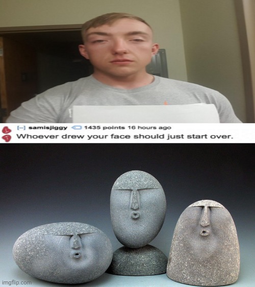 Face | image tagged in oof stones,memes,roasts,roast,roasted,repost | made w/ Imgflip meme maker