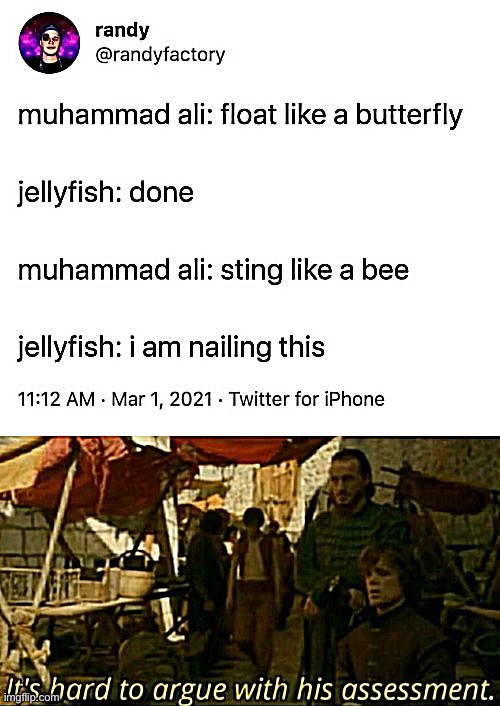 It’s hard to argue with his assessment | image tagged in it's hard to argue with his assessment,jellyfish,float,butterfly,sting,bee | made w/ Imgflip meme maker