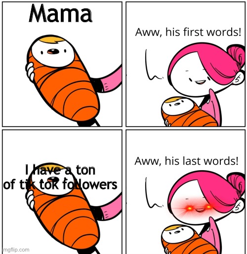 Aww, His Last Words | Mama; I have a ton of tik tok followers | image tagged in aww his last words | made w/ Imgflip meme maker