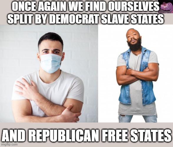 Every state with no mask mandate has a Republican Gov. | ONCE AGAIN WE FIND OURSELVES SPLIT BY DEMOCRAT SLAVE STATES; AND REPUBLICAN FREE STATES | image tagged in mask,nomask | made w/ Imgflip meme maker