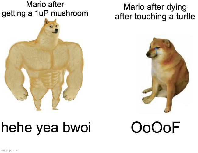 Buff Doge vs. Cheems Meme | Mario after getting a 1uP mushroom; Mario after dying after touching a turtle; hehe yea bwoi; OoOoF | image tagged in memes,buff doge vs cheems | made w/ Imgflip meme maker