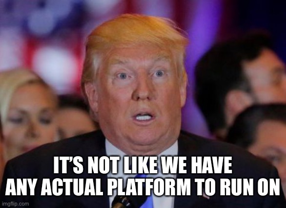 confused trump | IT’S NOT LIKE WE HAVE ANY ACTUAL PLATFORM TO RUN ON | image tagged in confused trump | made w/ Imgflip meme maker