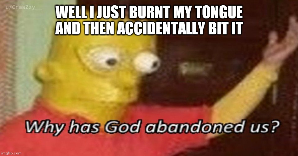 Why does the blood taste good tho- | WELL I JUST BURNT MY TONGUE AND THEN ACCIDENTALLY BIT IT | image tagged in why has god abandoned us | made w/ Imgflip meme maker