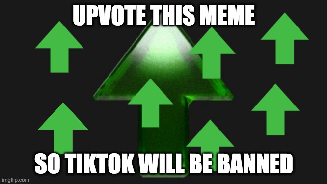 Upvote | UPVOTE THIS MEME; SO TIKTOK WILL BE BANNED | image tagged in upvote | made w/ Imgflip meme maker