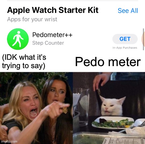 What were they thinking?!? | (IDK what it’s trying to say); Pedo meter | image tagged in memes,woman yelling at cat | made w/ Imgflip meme maker