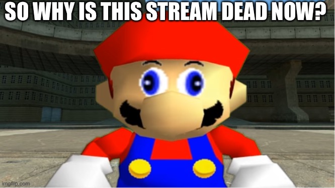 P A I N | SO WHY IS THIS STREAM DEAD NOW? | image tagged in smg4 mario derp reaction,smg4,imgflip,mario | made w/ Imgflip meme maker