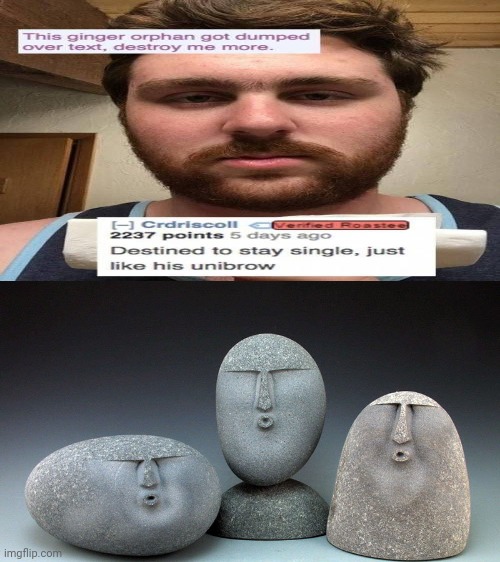 Guy with the unibrow roasted | image tagged in oof stones,roasts,funny,memes,roasted,roast | made w/ Imgflip meme maker