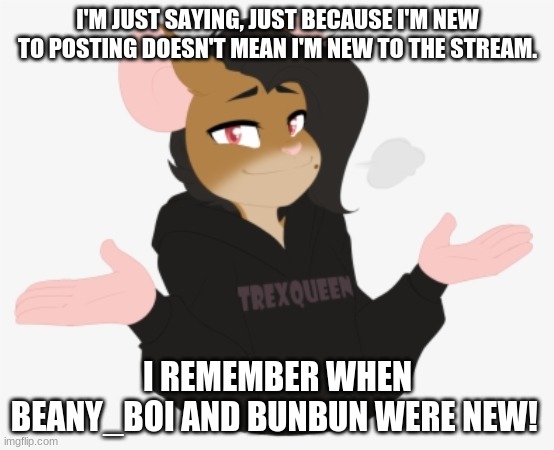 (CREDIT TO ARTIST! NOT MY ART!) I was one of the first 30 people to follow this stream. No joke. | I'M JUST SAYING, JUST BECAUSE I'M NEW TO POSTING DOESN'T MEAN I'M NEW TO THE STREAM. I REMEMBER WHEN BEANY_BOI AND BUNBUN WERE NEW! | made w/ Imgflip meme maker