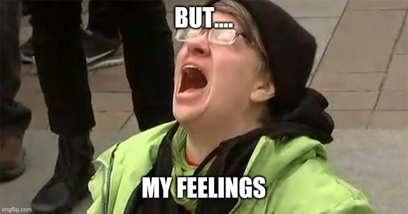 crying liberal | BUT.... MY FEELINGS | image tagged in crying liberal | made w/ Imgflip meme maker