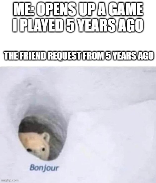 Bonjour | ME: OPENS UP A GAME I PLAYED 5 YEARS AGO; THE FRIEND REQUEST FROM 5 YEARS AGO | image tagged in bonjour | made w/ Imgflip meme maker