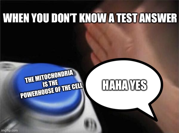 Skool | WHEN YOU DON’T KNOW A TEST ANSWER; THE MITOCHONDRIA IS THE POWERHOUSE OF THE CELL; HAHA YES | image tagged in funny memes | made w/ Imgflip meme maker