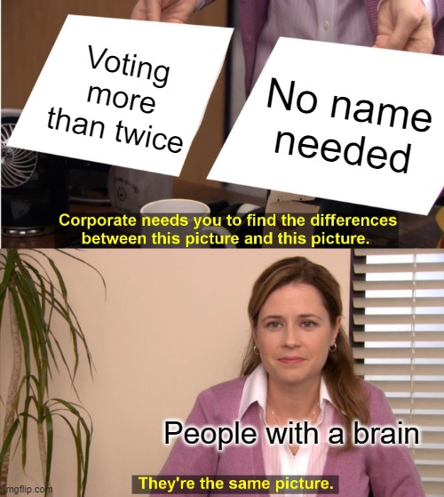 You can vote 100 times with this new law | Voting more than twice; No name needed; People with a brain | image tagged in memes,they're the same picture,law,politics | made w/ Imgflip meme maker