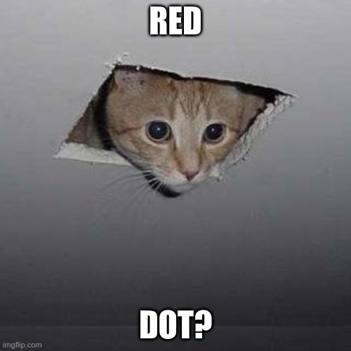 Ceiling Cat Meme | RED; DOT? | image tagged in memes,ceiling cat | made w/ Imgflip meme maker