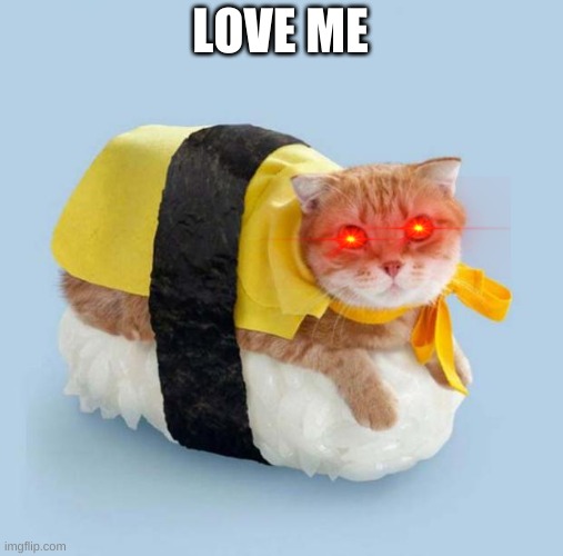 Cat Sushi | LOVE ME | image tagged in cat sushi | made w/ Imgflip meme maker