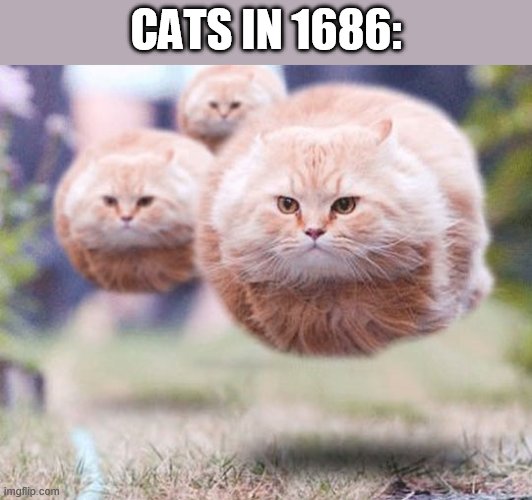 Flying cats | CATS IN 1686: | image tagged in flying cats | made w/ Imgflip meme maker