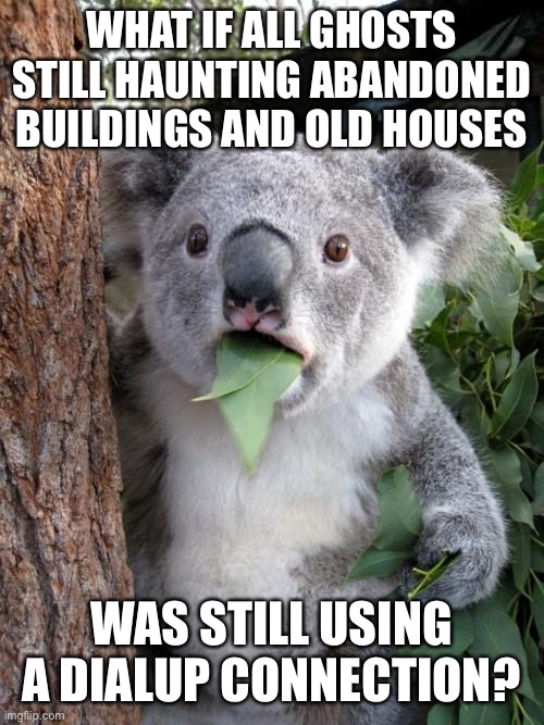 Surprised Koala Meme | WHAT IF ALL GHOSTS STILL HAUNTING ABANDONED BUILDINGS AND OLD HOUSES WAS STILL USING A DIALUP CONNECTION? | image tagged in memes,surprised koala | made w/ Imgflip meme maker