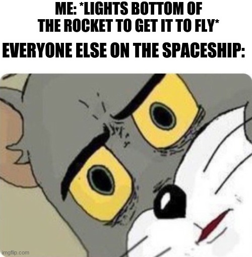 Tom meme | ME: *LIGHTS BOTTOM OF THE ROCKET TO GET IT TO FLY*; EVERYONE ELSE ON THE SPACESHIP: | image tagged in unsettled tom | made w/ Imgflip meme maker