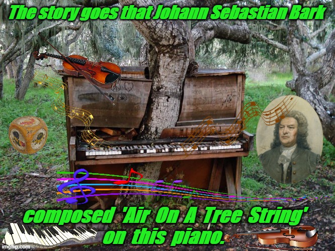 TREE BACH | The story goes that Johann Sebastian Bark; composed  'Air  On  A  Tree  String'
on  this  piano. | image tagged in tree bach | made w/ Imgflip meme maker