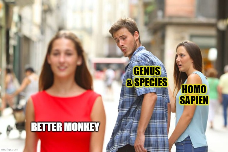 Distracted Boyfriend | GENUS & SPECIES; HOMO SAPIEN; BETTER MONKEY | image tagged in memes,distracted boyfriend | made w/ Imgflip meme maker