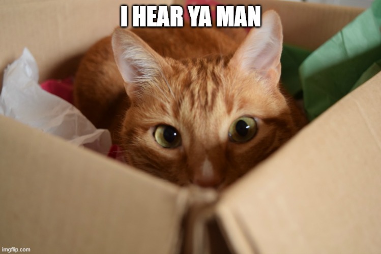 cat in box | I HEAR YA MAN | image tagged in cat in box | made w/ Imgflip meme maker